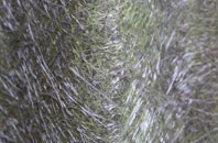 Boghall fibreglass roof work